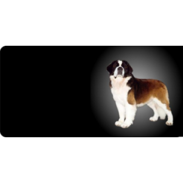 Saint Bernard Dog Photo License Plate  